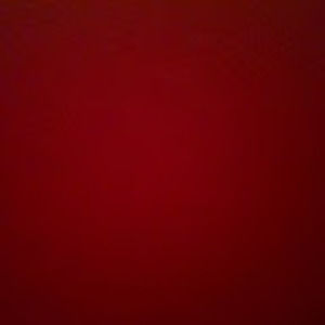 Meet your Posher, Gussy